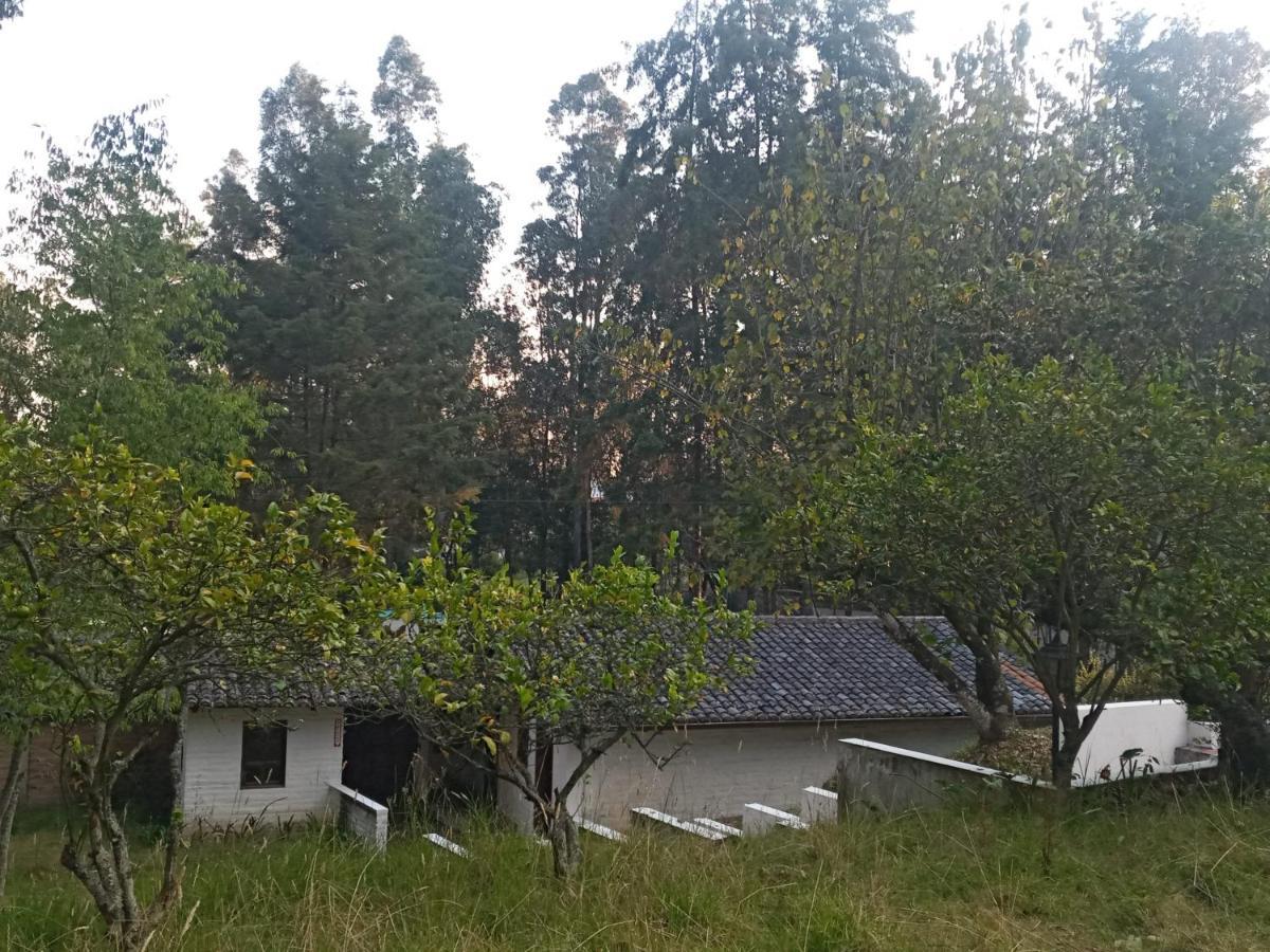 Quinta Los Eucaliptos Villa Quito Esterno foto